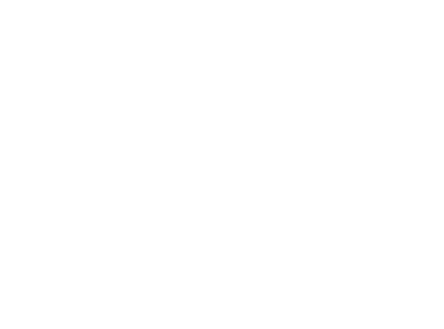Zorom White Logo
