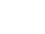 Zorom-White-Footer-Logo